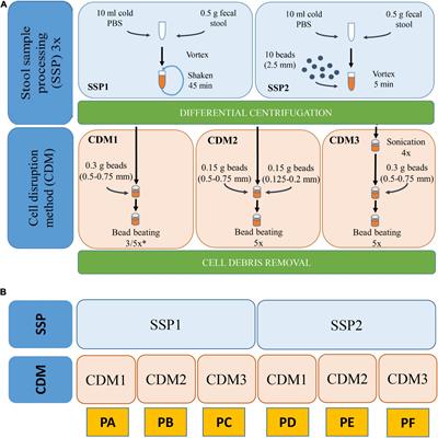 Distinct Human Gut Microbial Taxonomic Signatures Uncovered With Different Sample Processing and Microbial Cell Disruption Methods for Metaproteomic Analysis